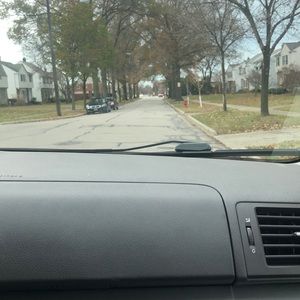 Meet your Posher, Bailey